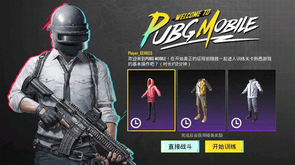 PUBG(PUBGMOBILE LITE)