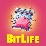 BitLifeٷ°v3.15.8 ׿