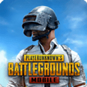 p up gʷ(PUBG MOBILE)v3.4.0 °