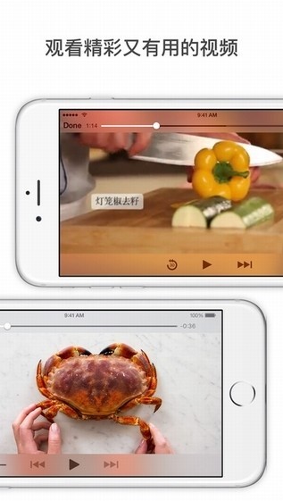 app(Kitchen Stories)v24.0.8 ׿