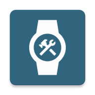 WearOSֱv2.3.3 °