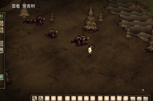 ֻ(Dont Starve)