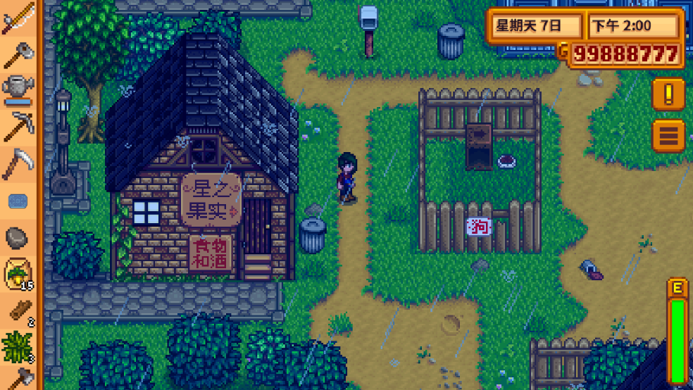 StardewValley°