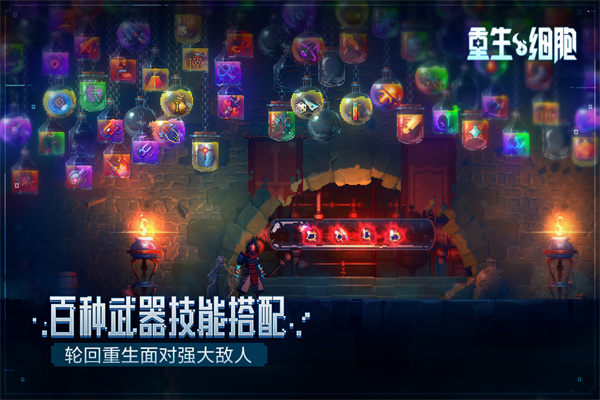 ϸ2024°汾(Dead Cells)v3.3.15 Ѱ