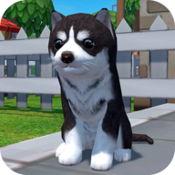 Zoom붯Zoom(Dog Simulator - Animal Life)v1.0.360 ׿