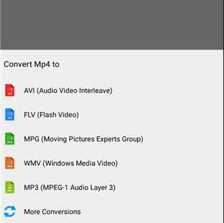 Video Converter׿רҵ